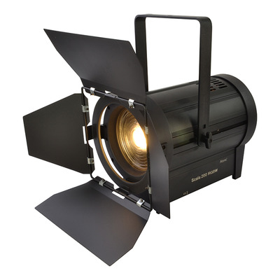 LED Fresnel 200w Warm White Stage Spot with Barn Door