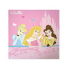 Disney Princess Canvas Art - Royal