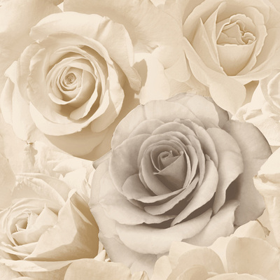 Madison Rose Floral Wallpaper Natural Muriva 119504