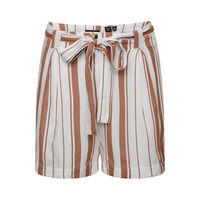 Desert Stripe Shorts - Orange Stripe - 8
