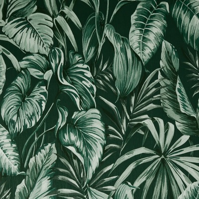 Sublime Leaves Exotique Wallpaper Green Graham and Brown 107010