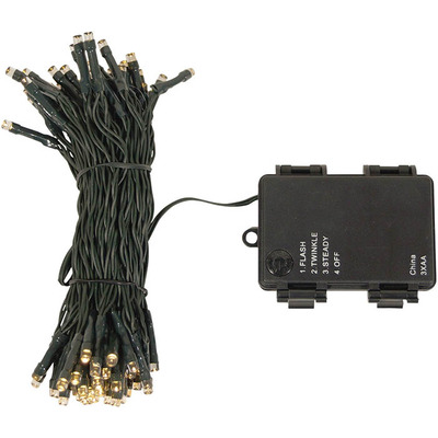 Battery Operated Indoor & Outdoor Warm White String Lights 10m