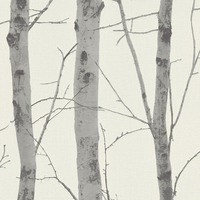 Image of Birch Trees Wallpaper Cream / Grey Erismann 5433-47