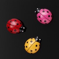 Image of NAGA Ladybug Magnets