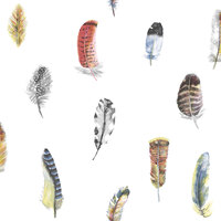 Image of Global Fusion Feathers Wallpaper Multi Coloured Galerie G56401