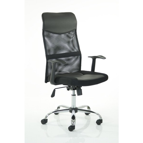 Vegalite Executive Mesh Back Chair