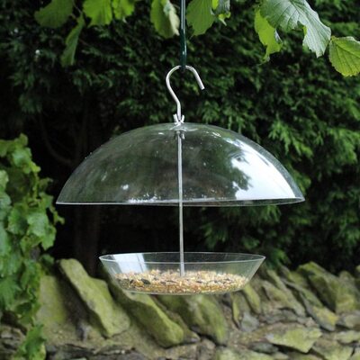 Large 30cm Hanging Transparent Dome Bird Seed Feeder