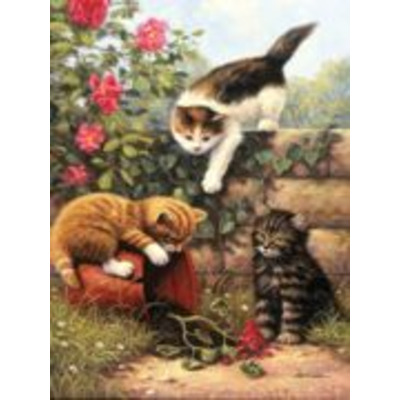 A4 Painting By Numbers Kit - Kittens At Play Pjs52