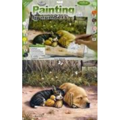 A3 Large Painting By Numbers Kit - Sleepy Day Pjl28