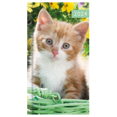 2024 Week To View Puppies/Kittens Diary Year Planner - KITTENS/CATS