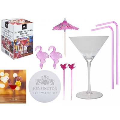 Martini Cocktail Glass & Accessories Gift Set
