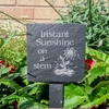 Image of Slate plant marker - Instant sunshine on a stem