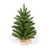 60cm Mini Richmond Tree With 72 Tips at Sefton Meadows Garden Centre