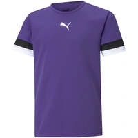 Image of Puma Junior TeamRise Jersey T-Shirt - Purple