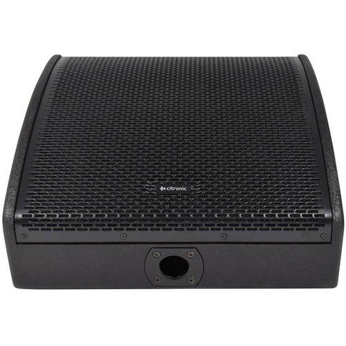 12" Wedge Monitor Passive 300 Watts RMS 8 Ohm