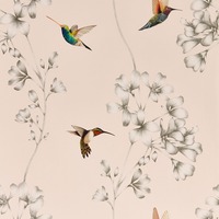 Image of Harlequin Amazilia Hummingbird Wallpaper Powder Pink and Pearl HTEW112606