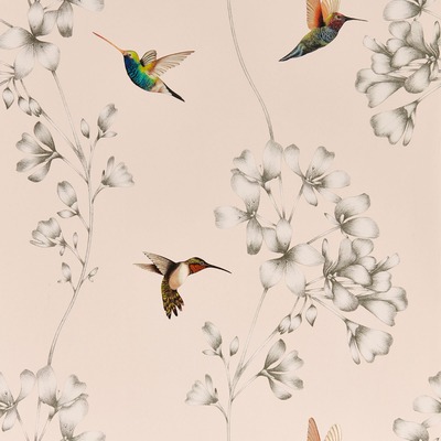 Harlequin Amazilia Hummingbird Wallpaper Powder Pink and Pearl HTEW112606 Harlequin Amazilia Hummingbird Wallpaper Powder Pink and Pearl HTEW112606