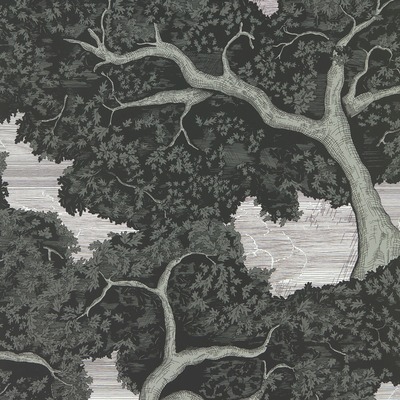 Harlequin Eternal Oak Wallpaper Ebony / First Light HC4W113040
