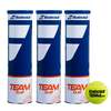 Image of Babolat Team Clay Tennis Balls - 1 Dozen