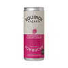 Image of Equinox Kombucha Organic Raspberry & Elderflower Sparkling Kombucha 250ml SINGLE CAN