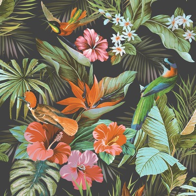 Paradise Birds Textured Heavyweight Vinyl Wallpaper Black / Multi Rasch 539059
