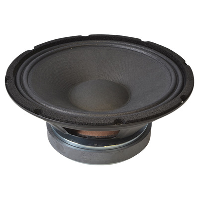10" Speaker Driver 250 Watt 8 Ohm Full Range Chassis Speaker