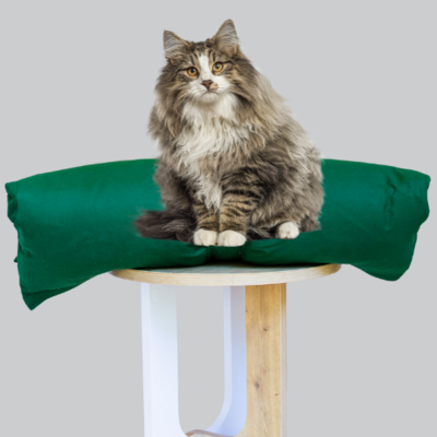 Cat Bed Mattress & Green Cover - Cat Bedding Set – The Big Little Duvet Company