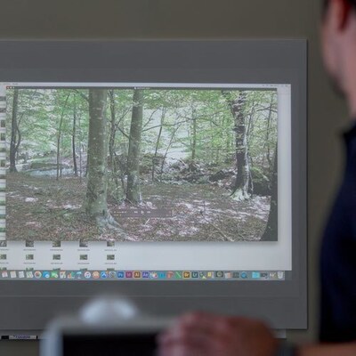 SkinMatt Projectable Frameless Whiteboard