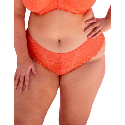 Curvy Kate Lovelace Brazilian Brief - Coral - L - 14

