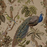 Peacock Woods Wallpaper Taupe / Multi Holden 13680