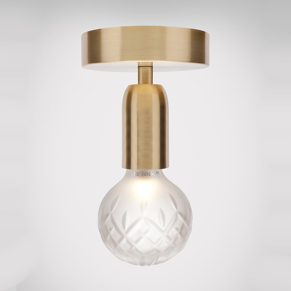 Crystal Bulb Ceiling Light Frosted Bulb