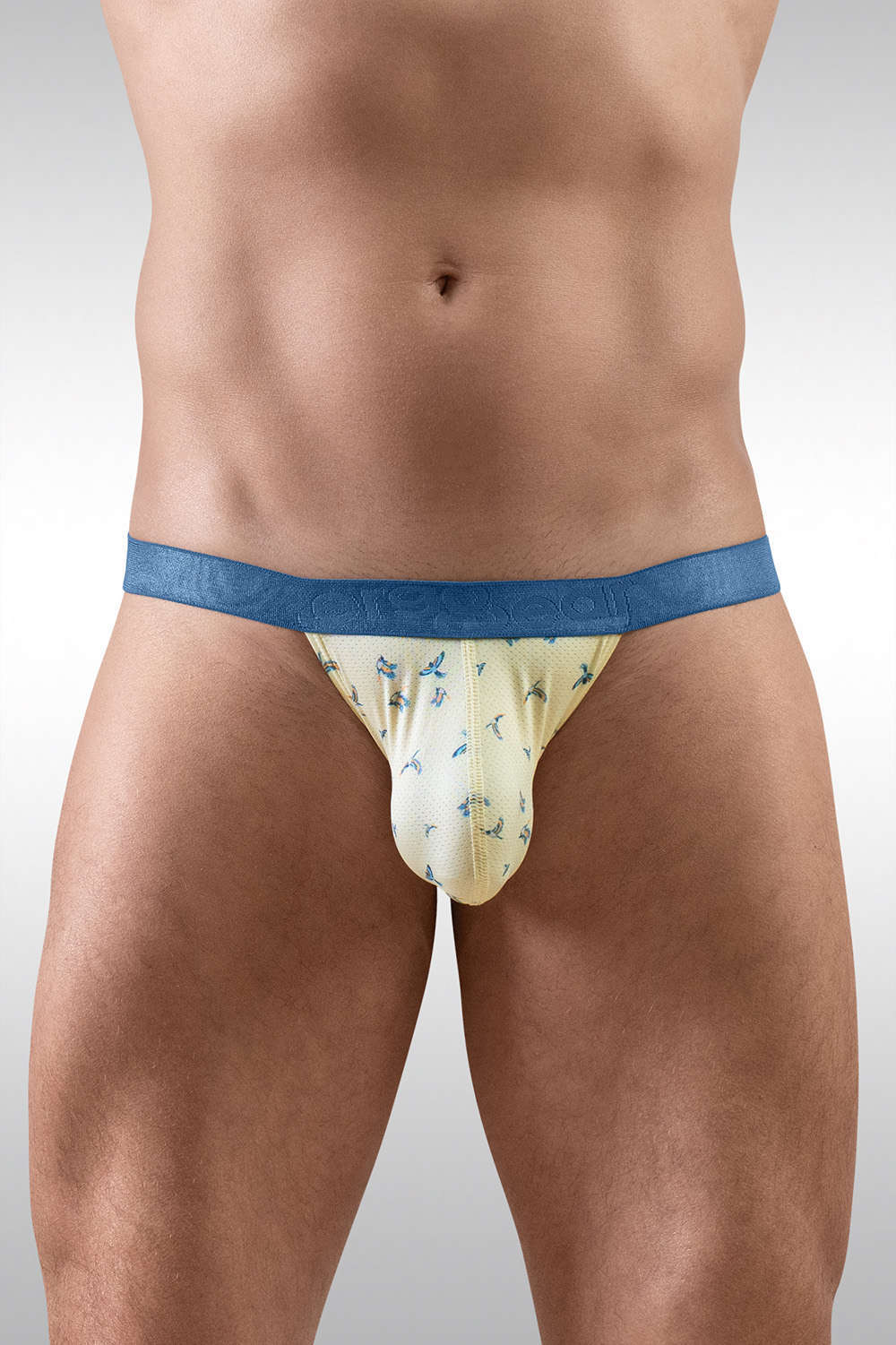 Ergowear SLK SE Bikini Brief men’s underwear with the 3D nose shape enhancing pouch. Shop luxury perforated male tanga slips in multicolour bird print