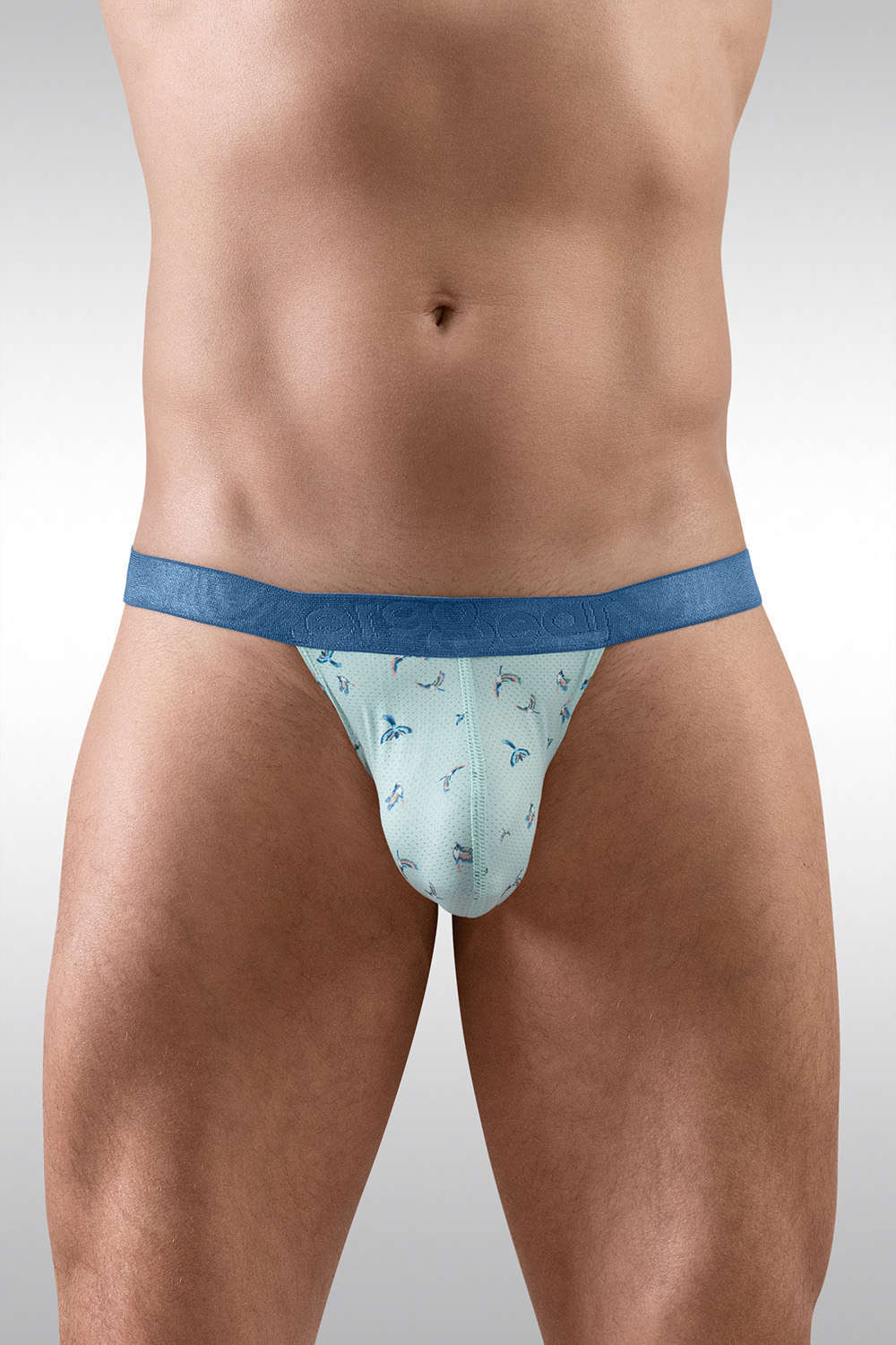 Uplifting Ergowear SLK SE Thong men’s underwear strings in breathable perforated silky bird print fabric. Shop enhancing 3D nose pouch undies for him