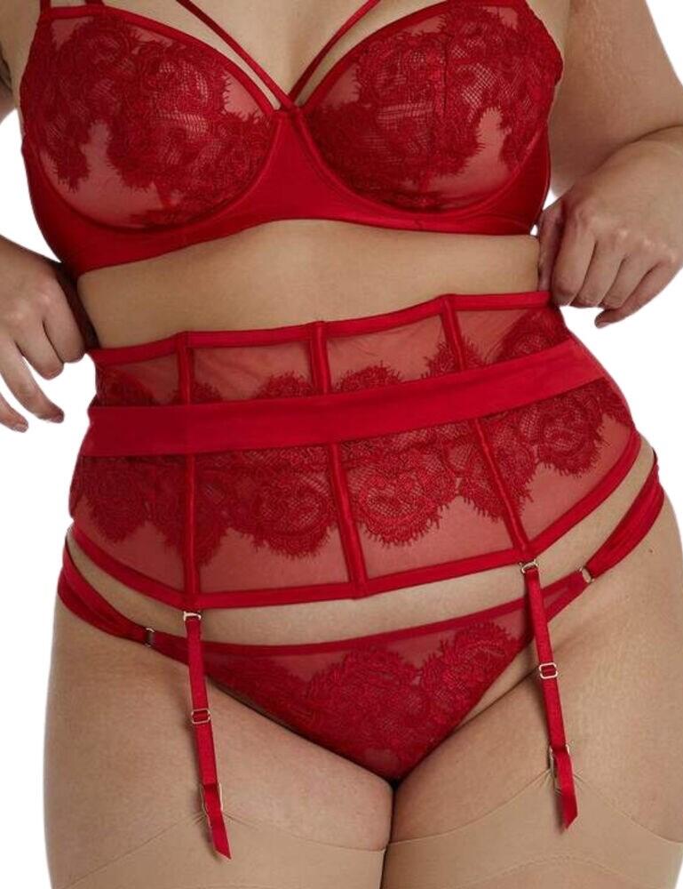 Look ravishing in sexy boudoir lingerie by Playful Promises. The Annelise collection features intricate lace applique upon sheer mesh and satin. Cinch your waist with the waspie, giving you the option to wear with your favourite suspender straps or as a stand-alone accessory.  Flirty mesh and lace Comfy elasticated strap at waist Detachable suspender straps Hook & eye fastening Composition:- 96% Polyester &pipe; 4% Elastane Listed in UK sizes  47306-86477-1148634 PPCCW3180  Waspie Curve