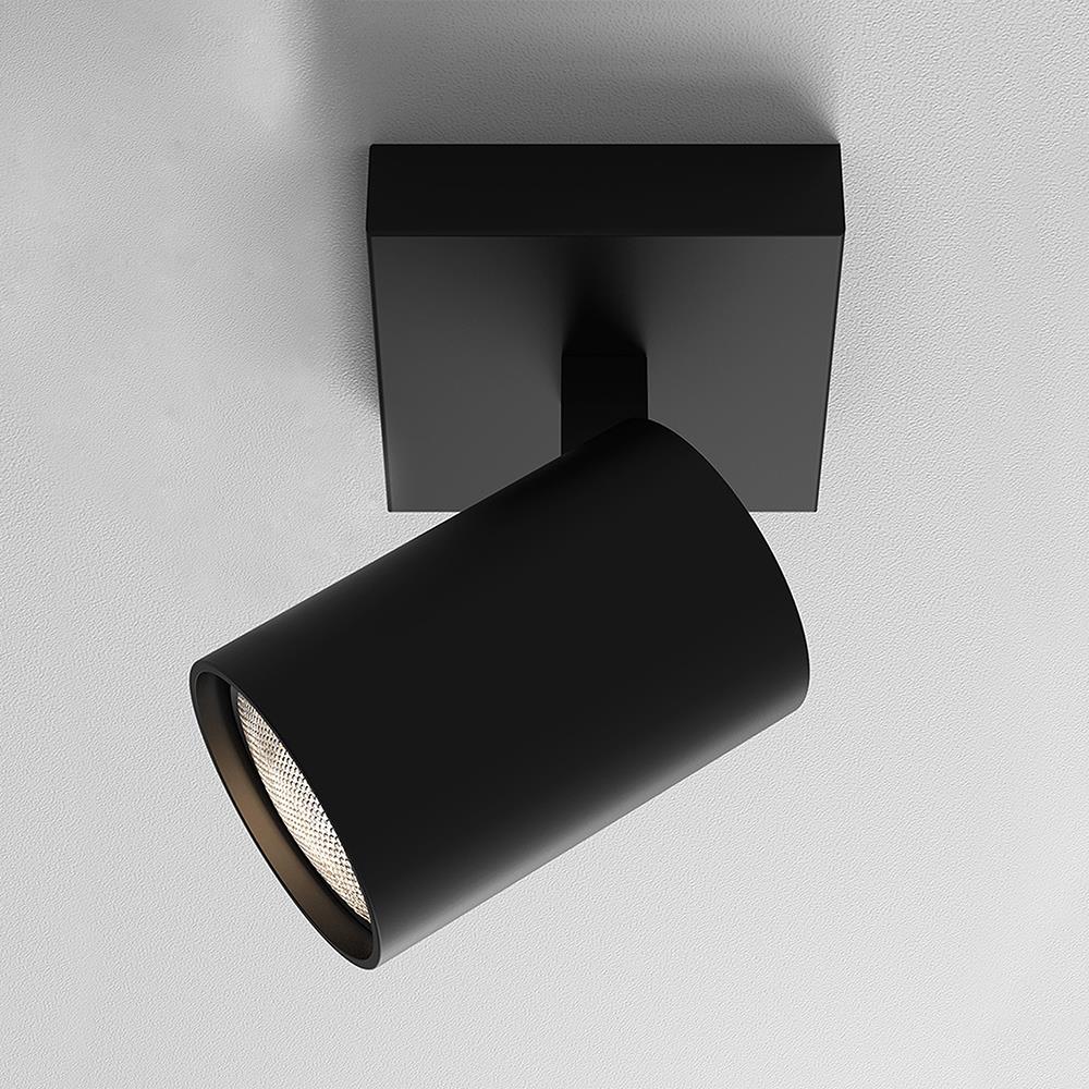 Ascoli Single Spotlight Black