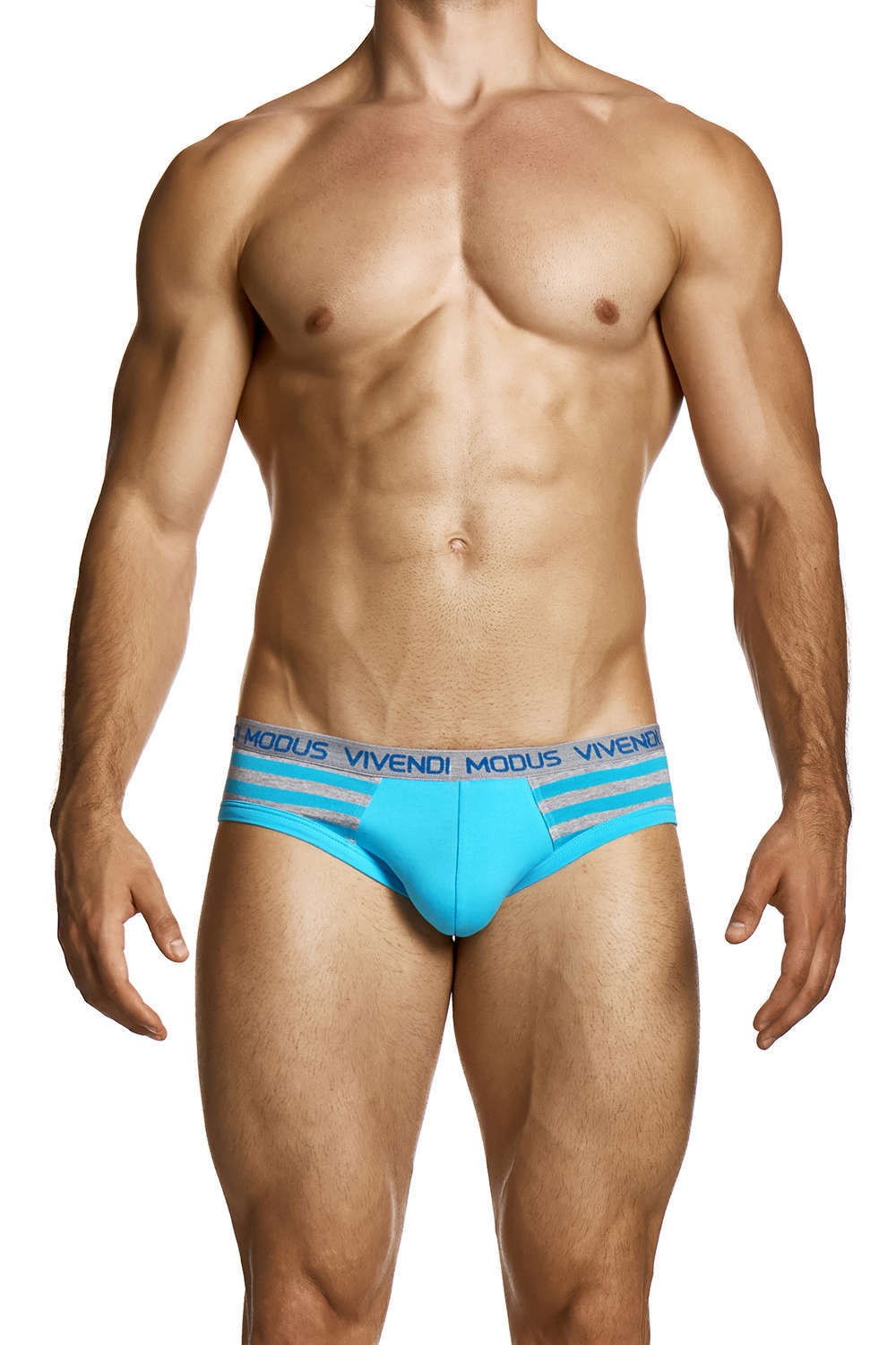 Modus Vivendi 80s Classic Brief men’s underwear hipster – eco-friendly cotton male underpants in retro stripes. Shop online. International delivery