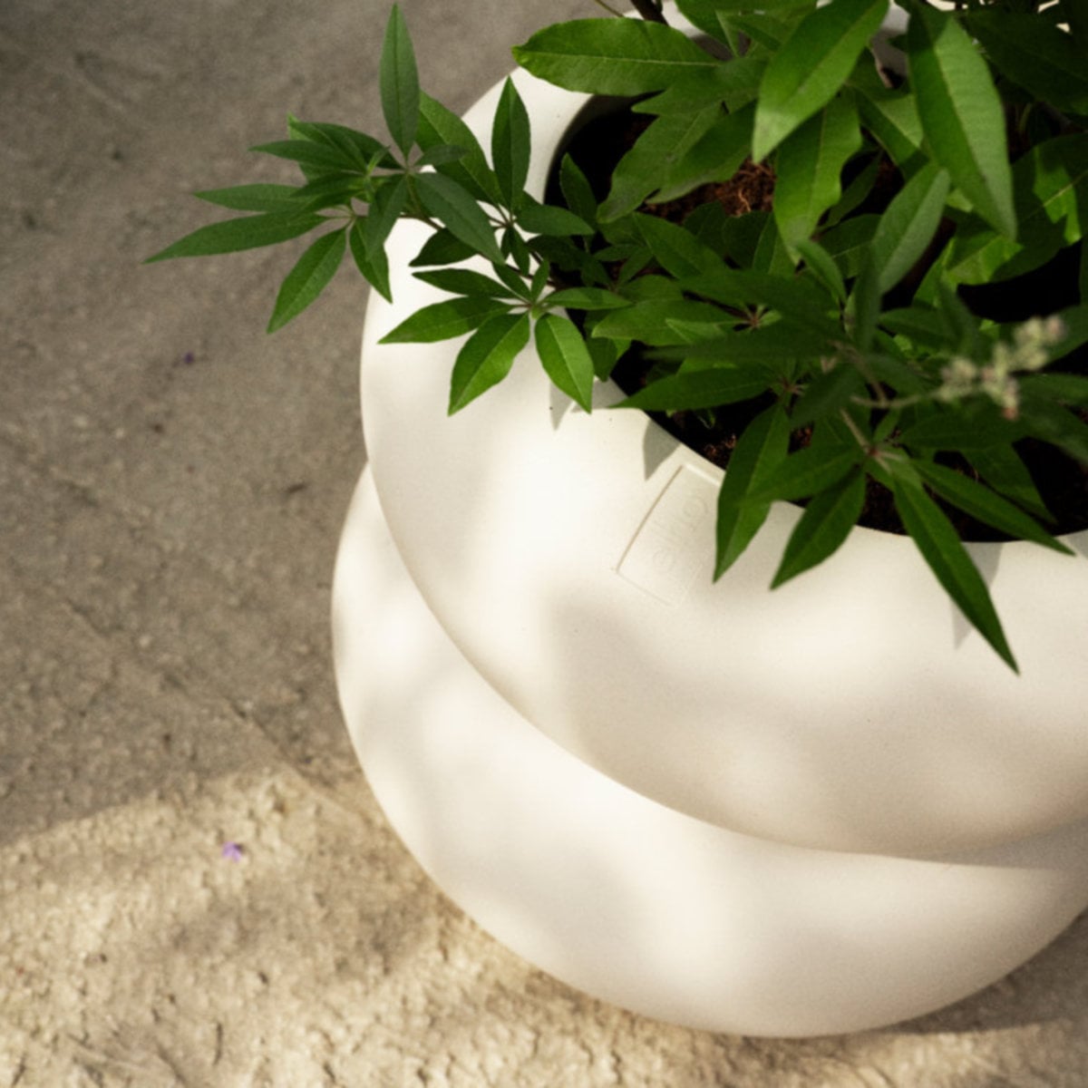 Elho Amber Roll Low 43 - White - Indoor and Outdoor - 100% Recycled