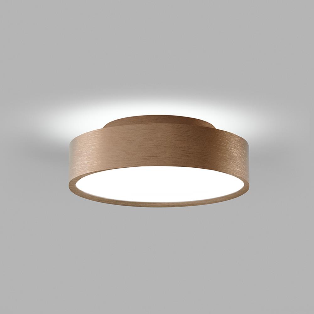 Shadow Wall Ceiling Light Small Rose Gold
