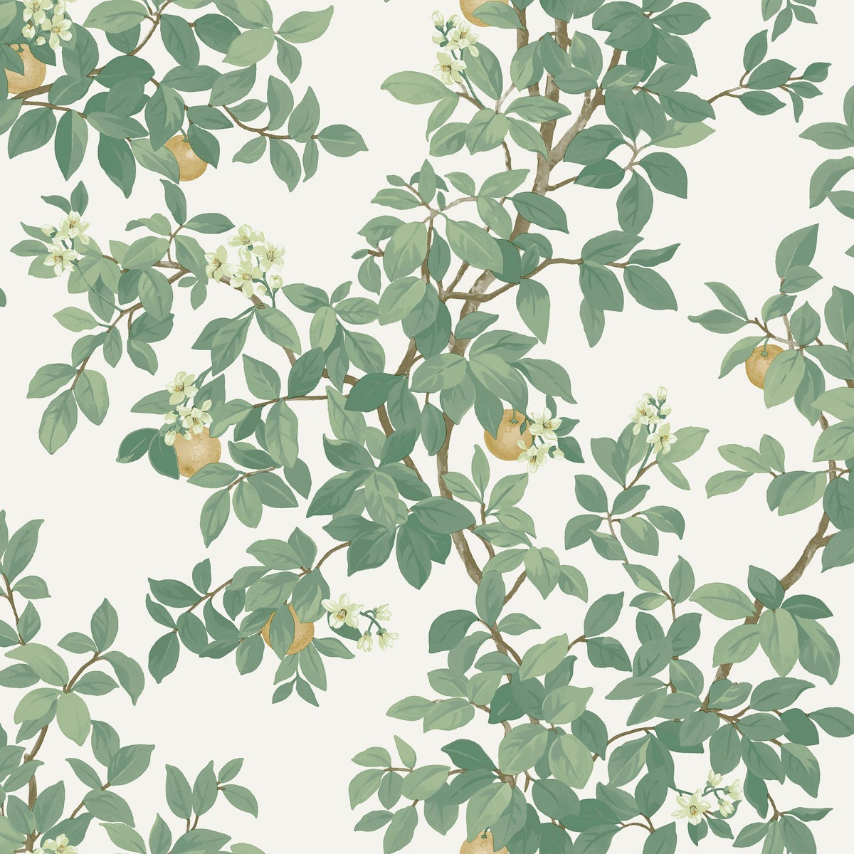 Holden Decor Orange Tree Cream Green Wallpaper, Green