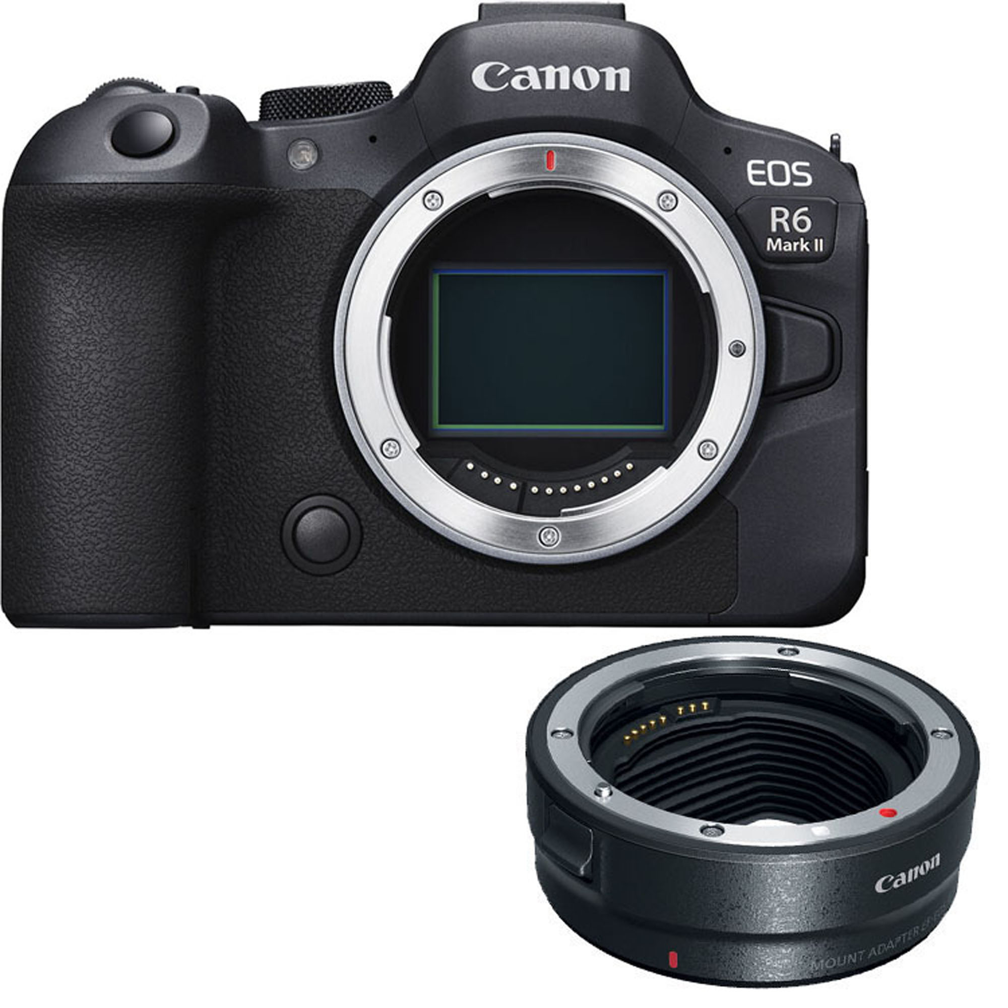 Canon EOS R6 Mark II Mirrorless Camera Body with EF-EOS R mount adapter
