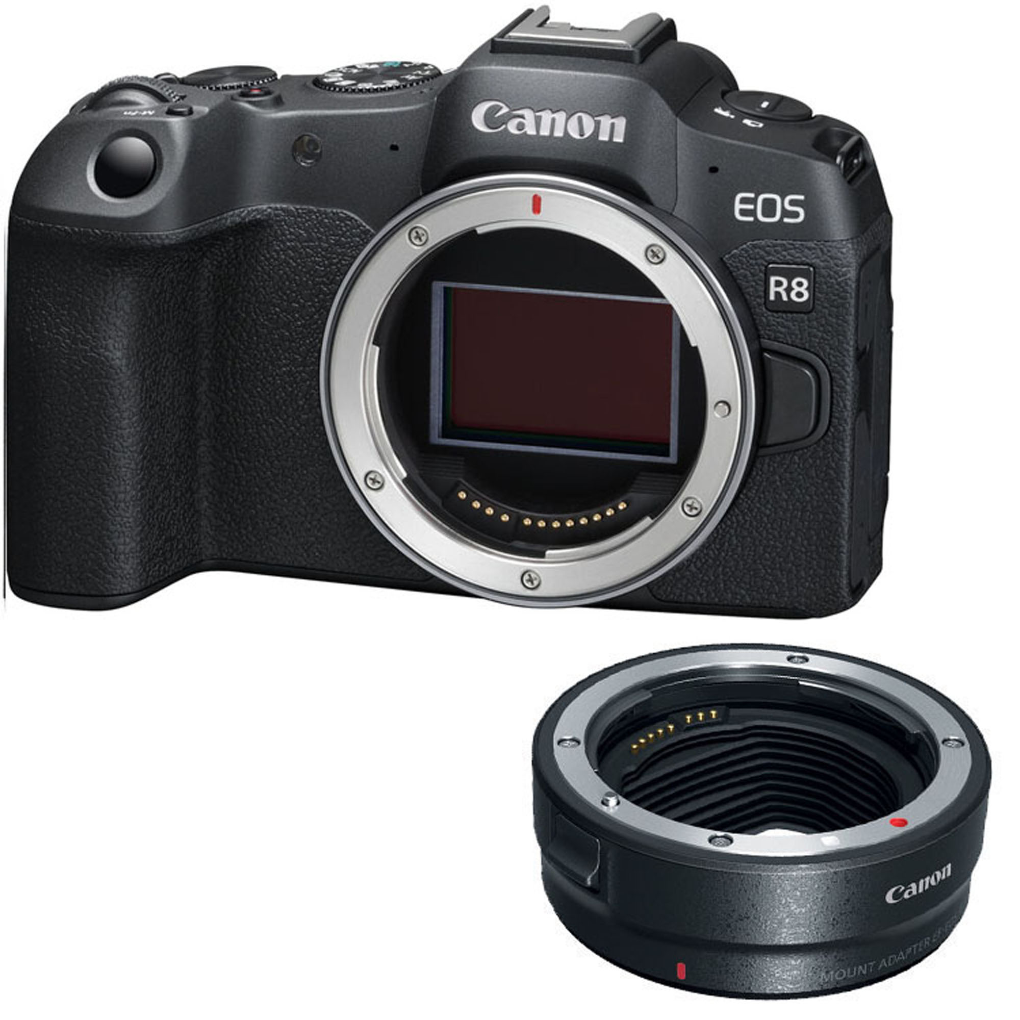 Canon EOS R8 Mirrorless Camera Body with EF-EOS R mount adapter