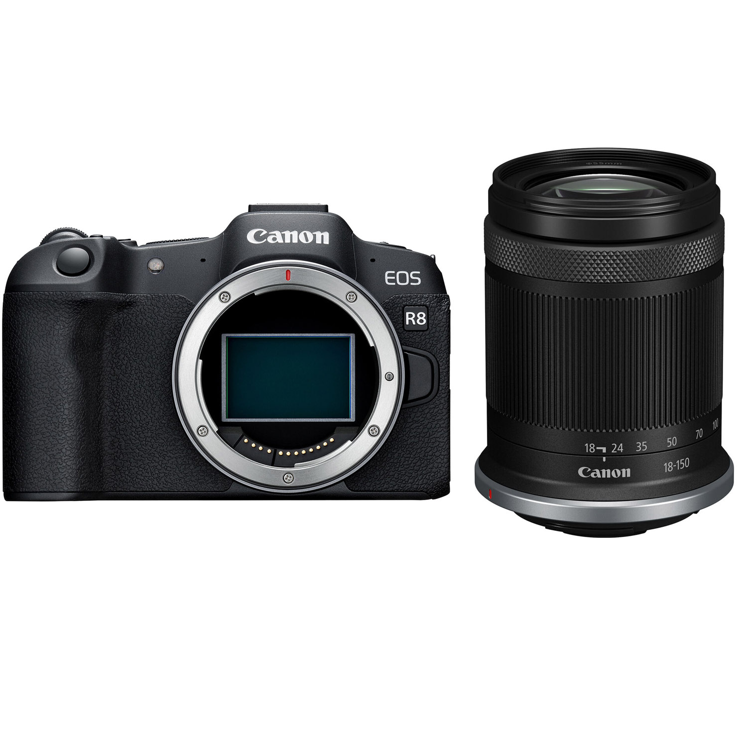 Canon EOS R8 Mirrorless Camera with RF-S 18-150mm f/3.5-6.3 IS STM Lens