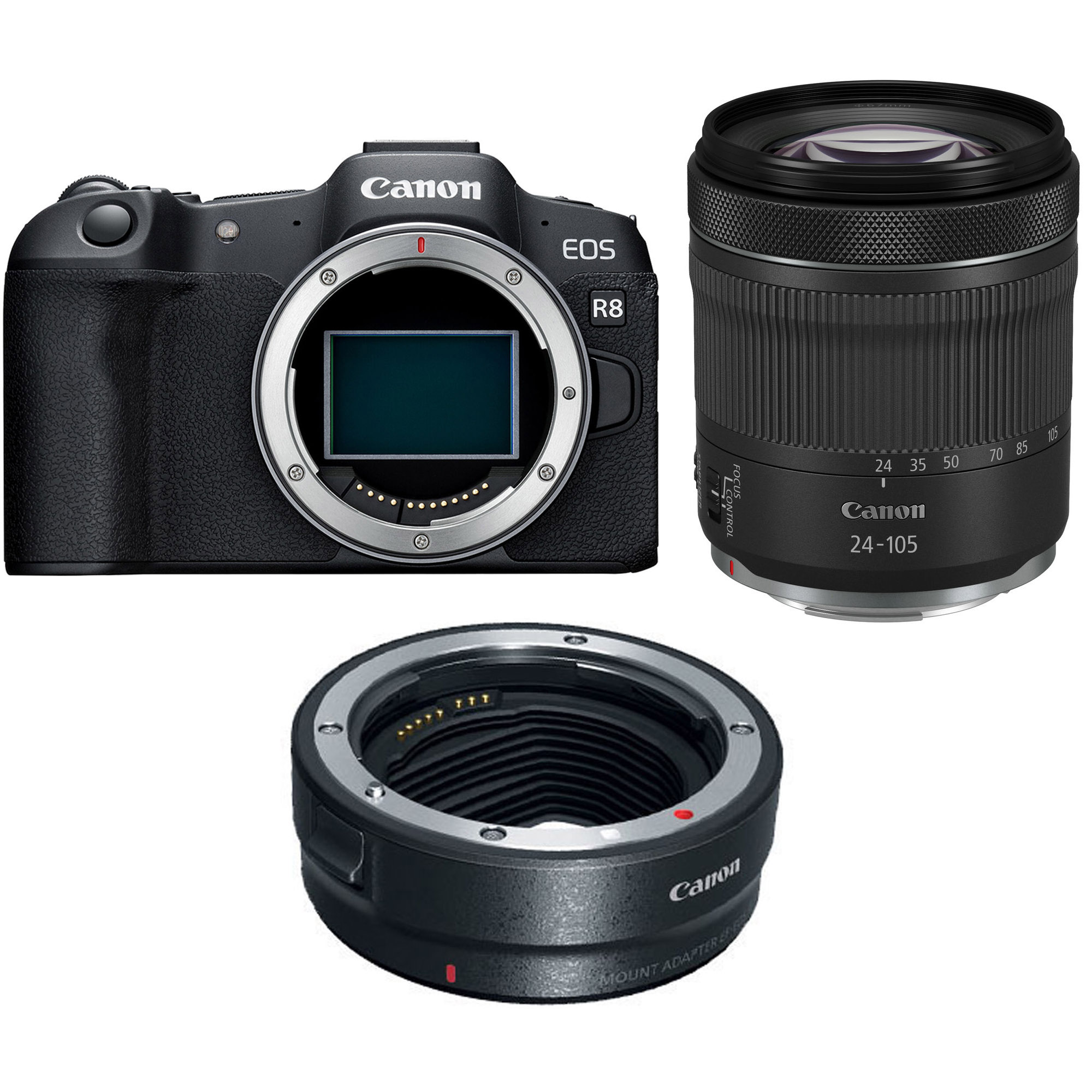 Canon EOS R8 Mirrorless Camera with RF-S 18-150mm f/3.5-6.3 IS STM Lens with EF-EOS R mount adapter