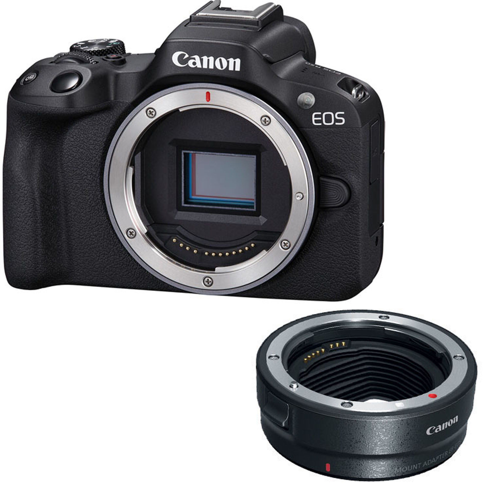 Canon EOS R50 Mirrorless Camera Body with EF-EOS R mount adapter