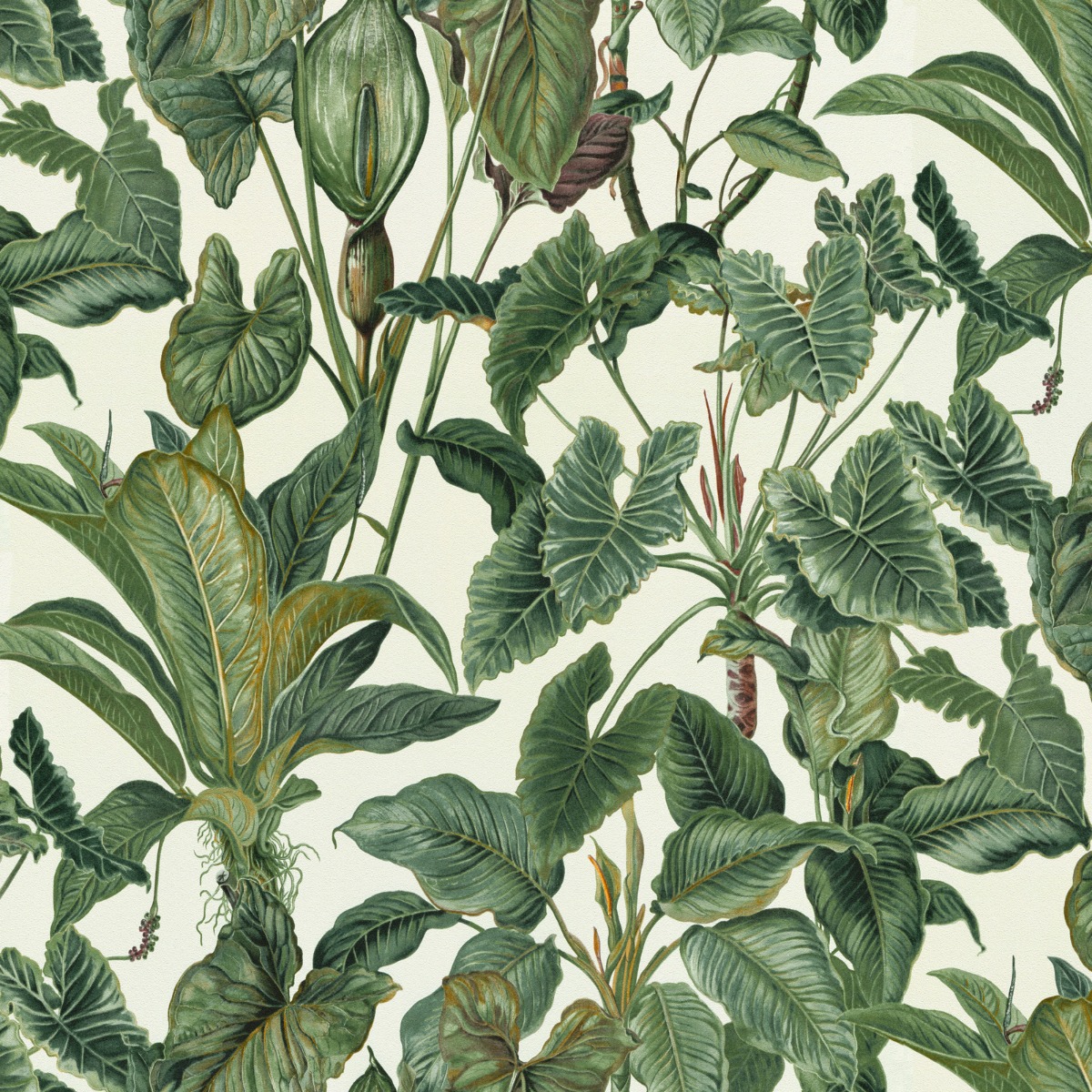 Erismann Paradiso Wallpaper Jungle Green Leaves Paradise Tropical Feature Vinyl, Green