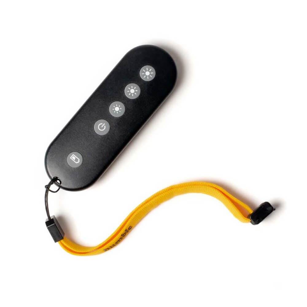 Humble Remote Wall Lighting Black