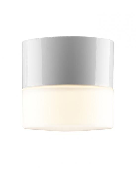 Opus 100 Wall Or Ceiling Light