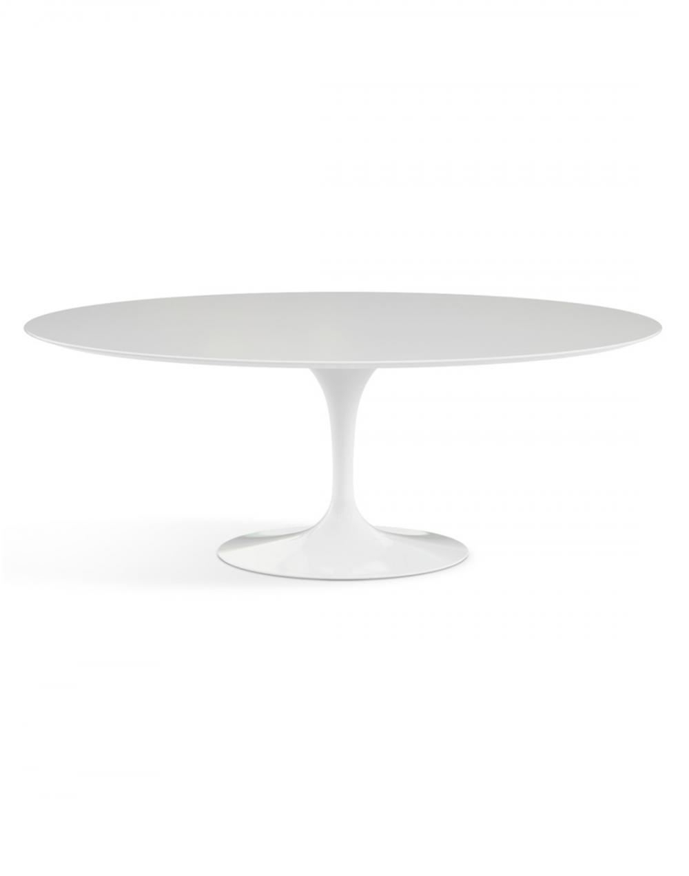 Saarinen Dining Table Oval White Base Acrylic Stone Top