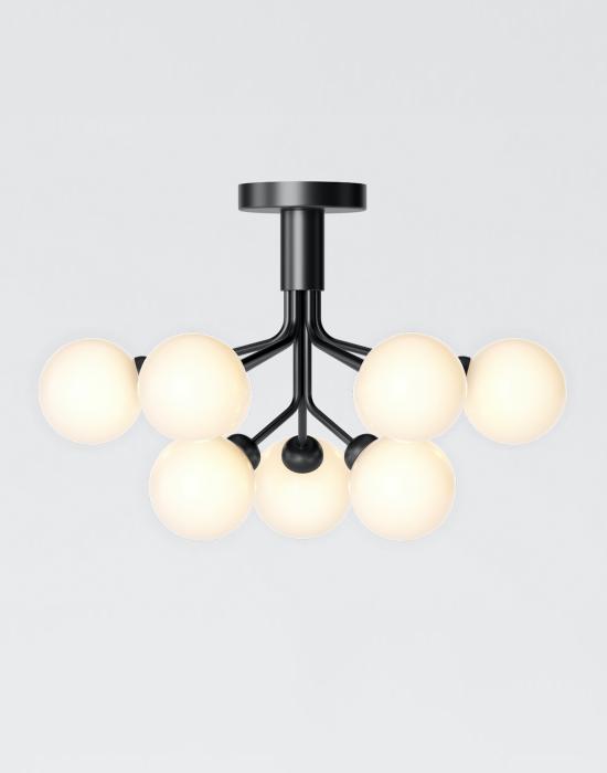 Apiales Ceiling Light