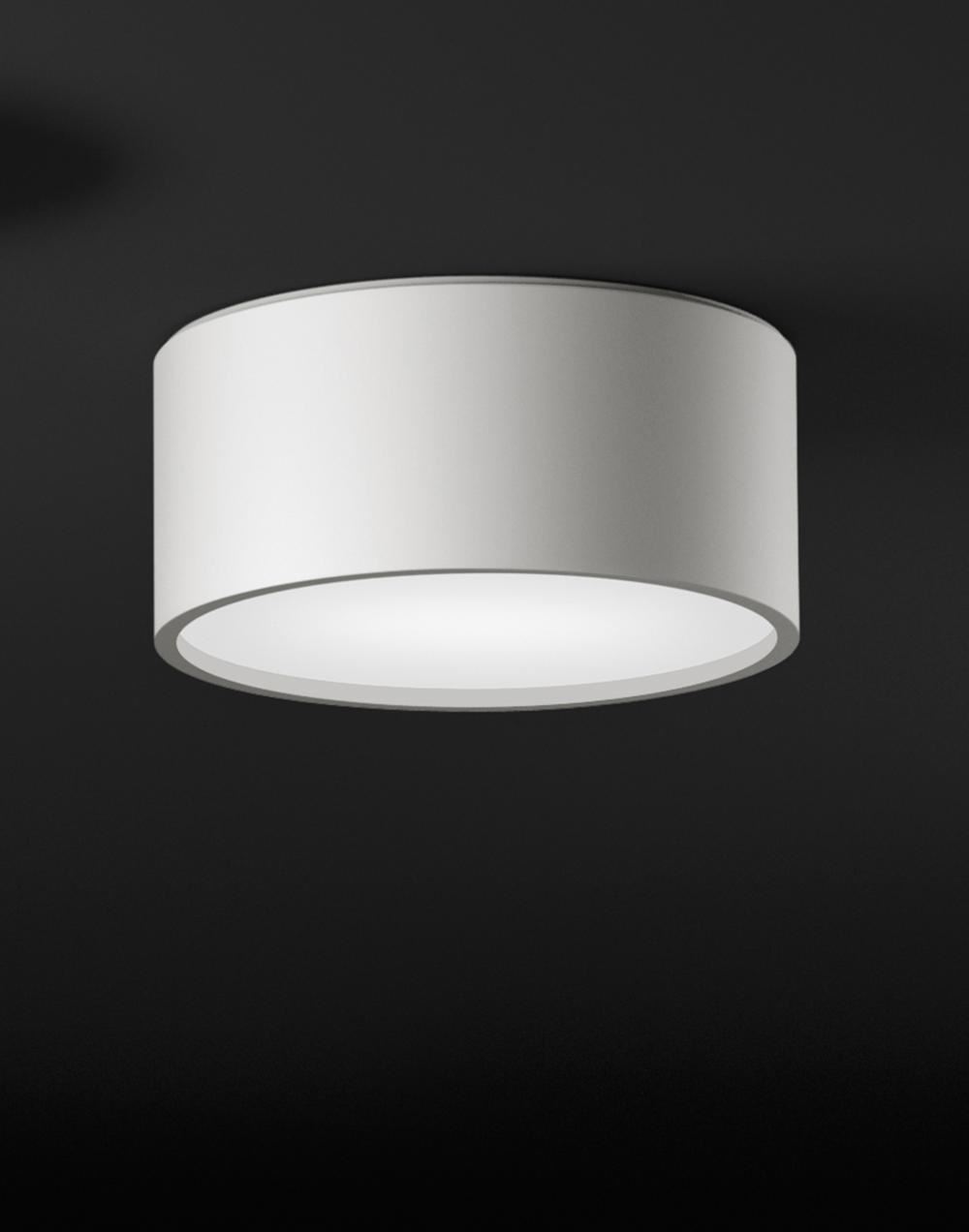 Plus Outdoor Ceiling Light